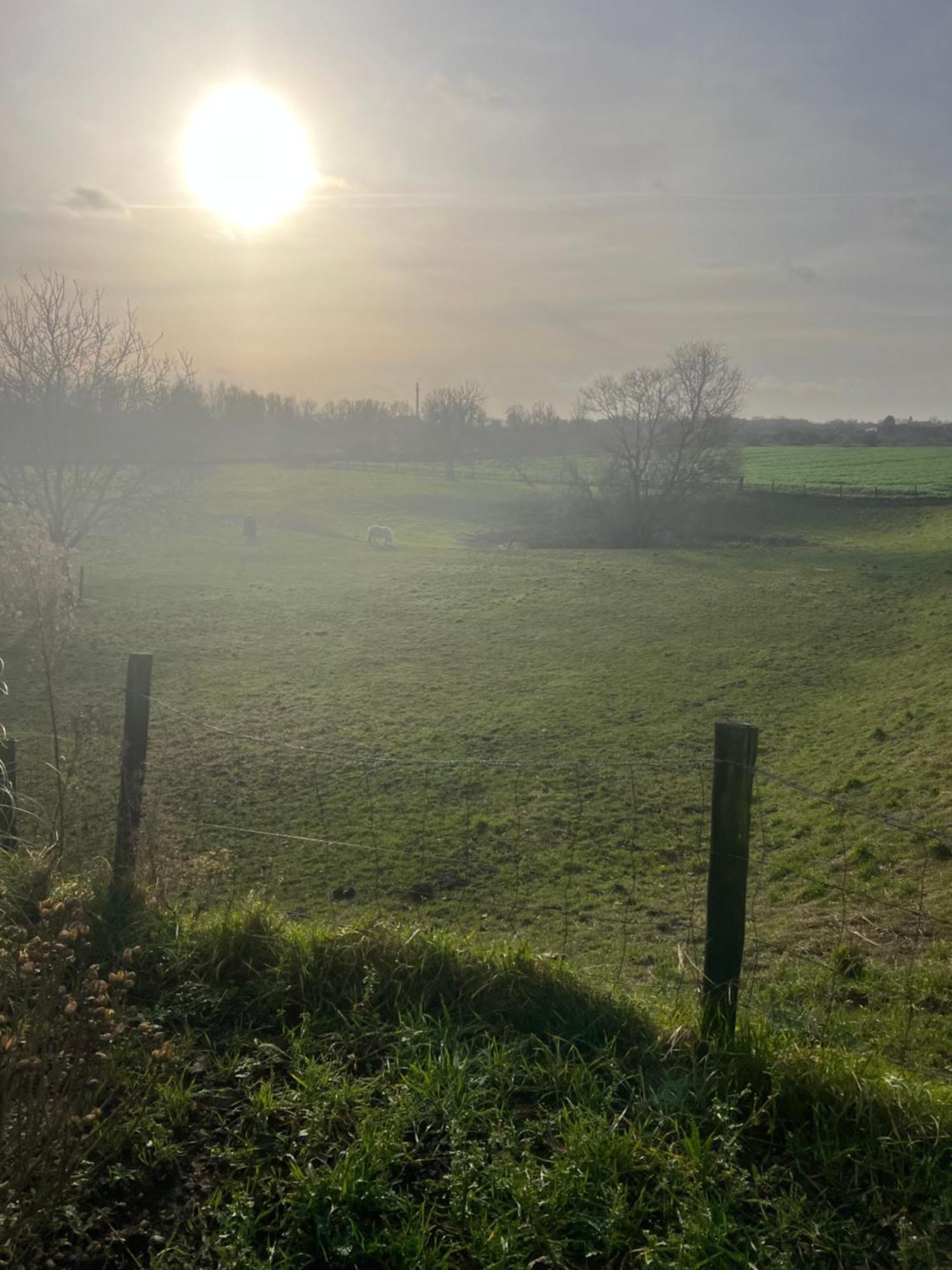 Geniet Van Een Charmante En Rustige Verblijfplaats In Lobith Exteriör bild